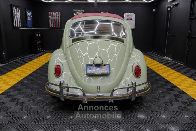 Volkswagen Beetle - Classic  - <small></small> 30.000 € <small>TTC</small> - #10