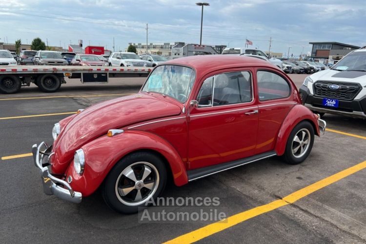 Volkswagen Beetle - Classic  - <small></small> 24.000 € <small>TTC</small> - #1