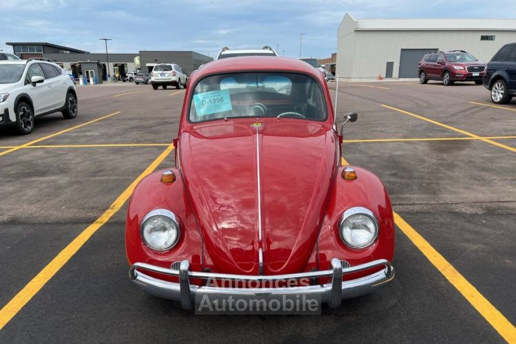 Volkswagen Beetle - Classic  - <small></small> 24.000 € <small>TTC</small> - #2