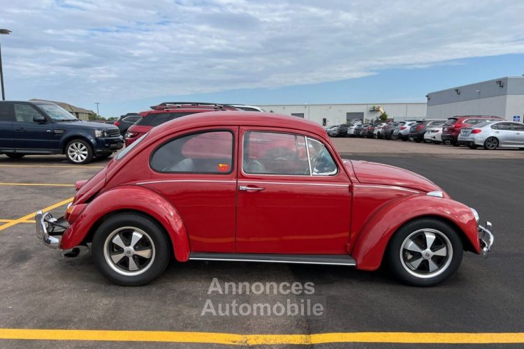 Volkswagen Beetle - Classic  - <small></small> 24.000 € <small>TTC</small> - #4