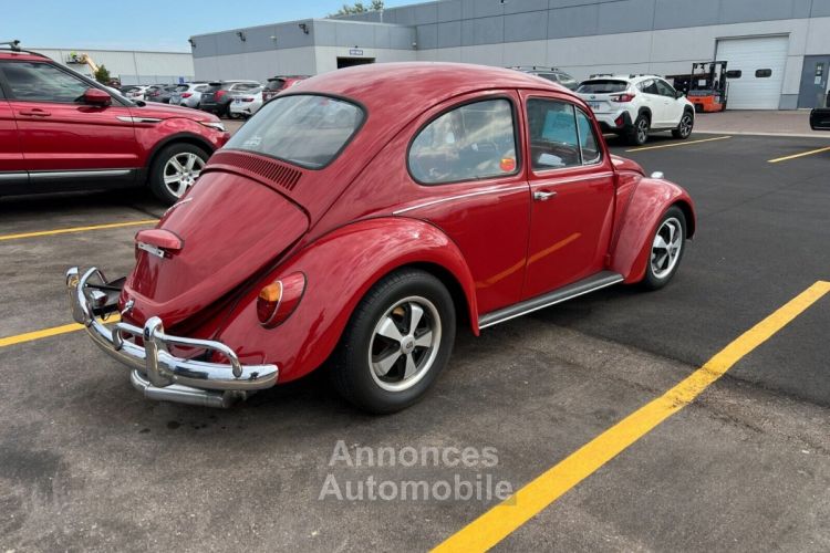 Volkswagen Beetle - Classic  - <small></small> 24.000 € <small>TTC</small> - #5