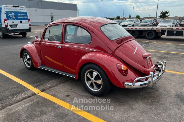 Volkswagen Beetle - Classic  - <small></small> 24.000 € <small>TTC</small> - #7