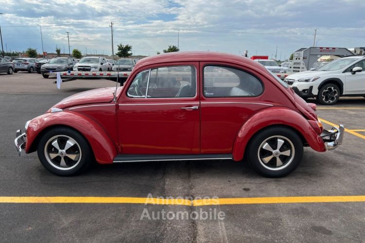 Volkswagen Beetle - Classic  - <small></small> 24.000 € <small>TTC</small> - #8