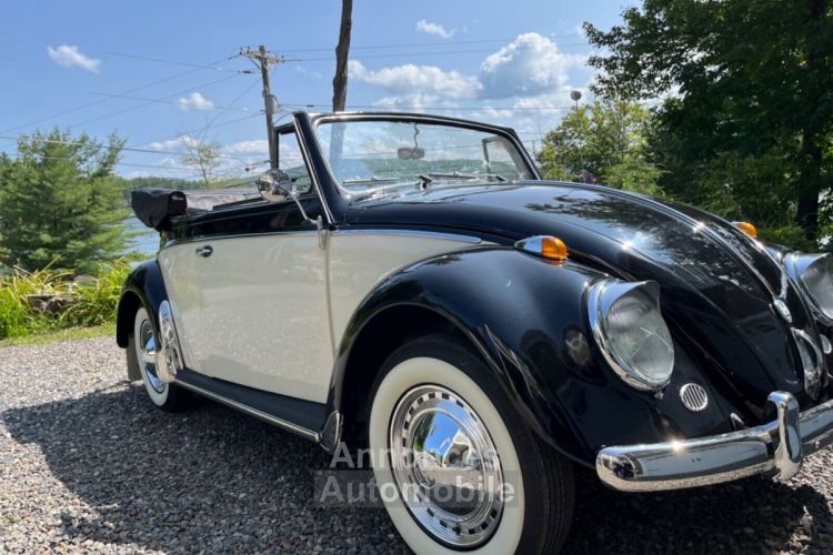 Volkswagen Beetle - Classic  - <small></small> 43.000 € <small>TTC</small> - #1