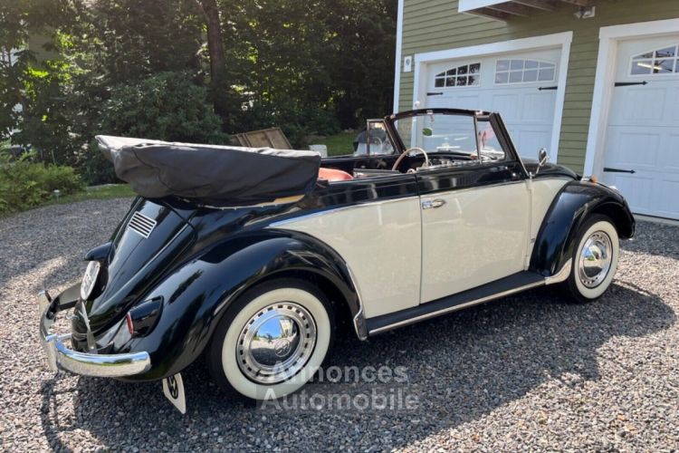 Volkswagen Beetle - Classic  - <small></small> 43.000 € <small>TTC</small> - #3