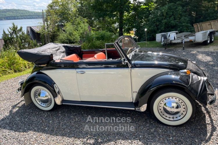 Volkswagen Beetle - Classic  - <small></small> 43.000 € <small>TTC</small> - #4