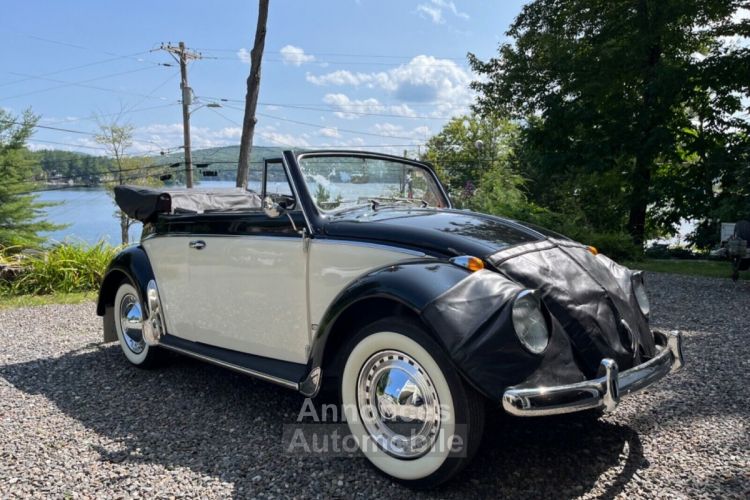 Volkswagen Beetle - Classic  - <small></small> 43.000 € <small>TTC</small> - #5