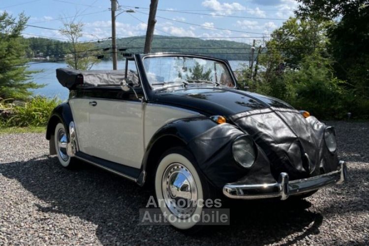 Volkswagen Beetle - Classic  - <small></small> 43.000 € <small>TTC</small> - #6