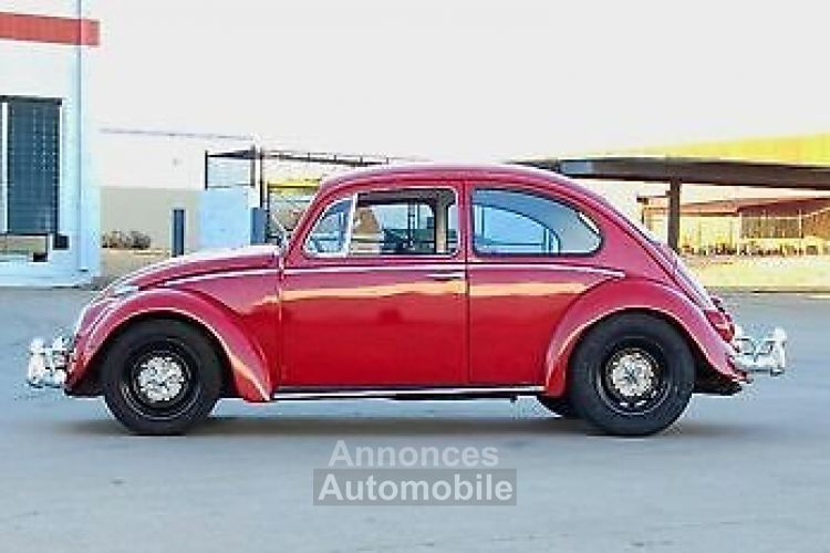 Volkswagen Beetle - Classic  - <small></small> 24.000 € <small>TTC</small> - #4