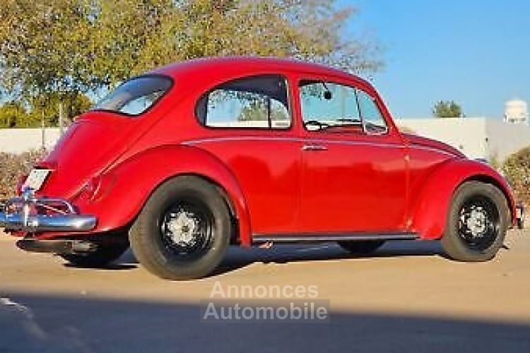 Volkswagen Beetle - Classic  - <small></small> 24.000 € <small>TTC</small> - #5