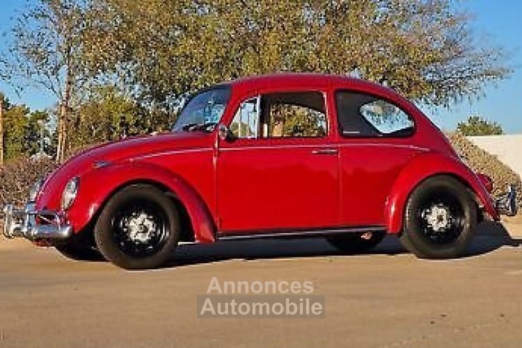 Volkswagen Beetle - Classic  - <small></small> 24.000 € <small>TTC</small> - #6