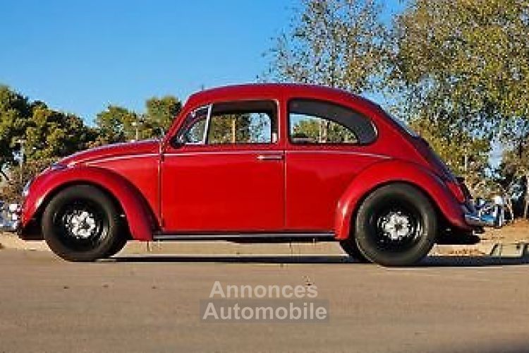 Volkswagen Beetle - Classic  - <small></small> 24.000 € <small>TTC</small> - #7