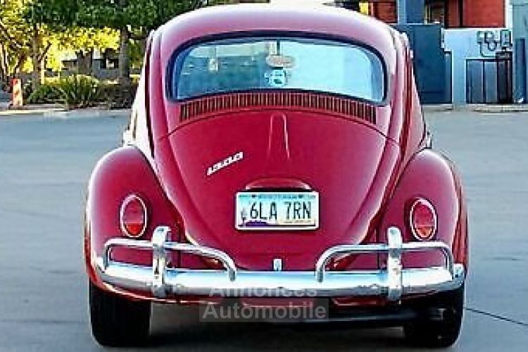 Volkswagen Beetle - Classic  - <small></small> 24.000 € <small>TTC</small> - #11