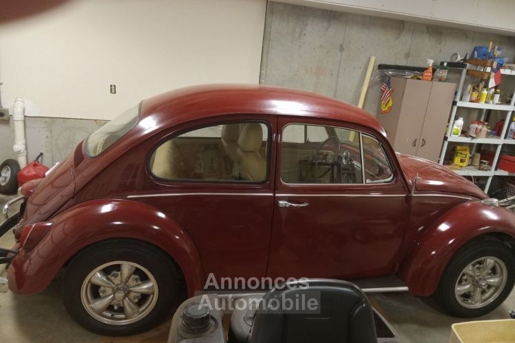 Volkswagen Beetle - Classic  - <small></small> 23.000 € <small>TTC</small> - #3