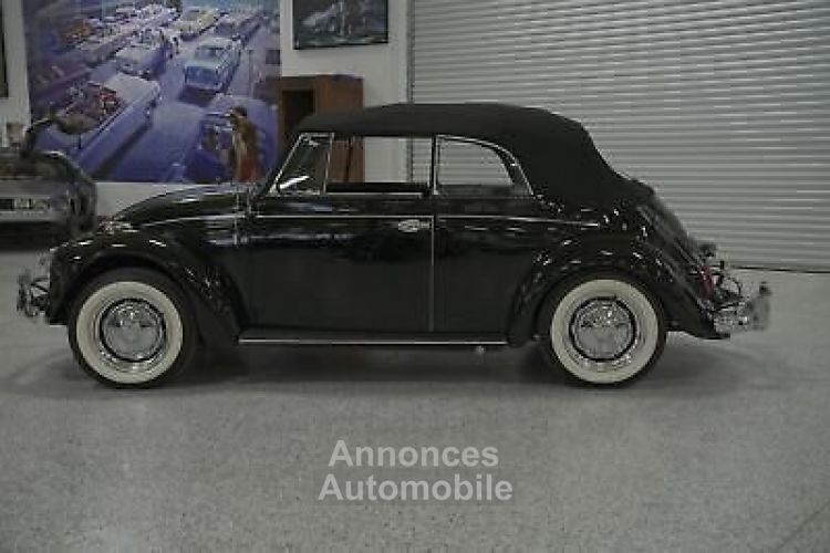 Volkswagen Beetle - Classic  - <small></small> 48.000 € <small>TTC</small> - #3