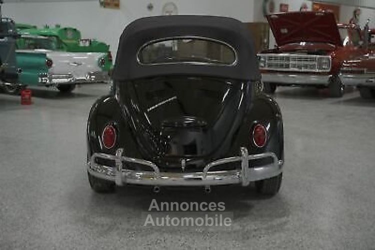 Volkswagen Beetle - Classic  - <small></small> 48.000 € <small>TTC</small> - #4