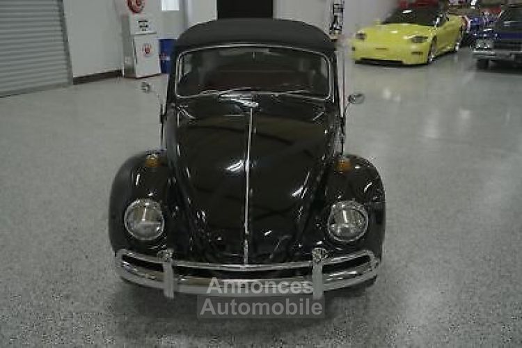 Volkswagen Beetle - Classic  - <small></small> 48.000 € <small>TTC</small> - #5