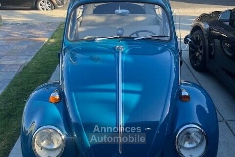 Volkswagen Beetle - Classic  - <small></small> 37.000 € <small>TTC</small> - #21