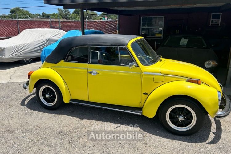 Volkswagen Beetle - Classic  - <small></small> 20.000 € <small>TTC</small> - #23