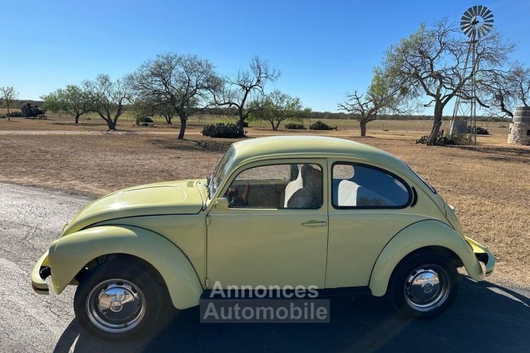 Volkswagen Beetle - Classic  - <small></small> 20.000 € <small>TTC</small> - #2