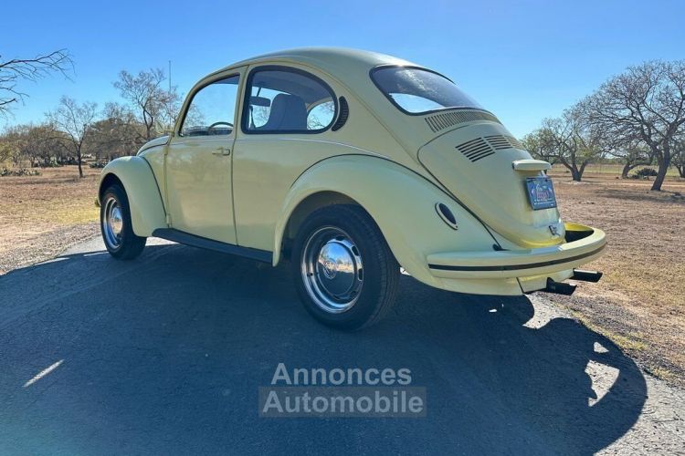 Volkswagen Beetle - Classic  - <small></small> 20.000 € <small>TTC</small> - #6