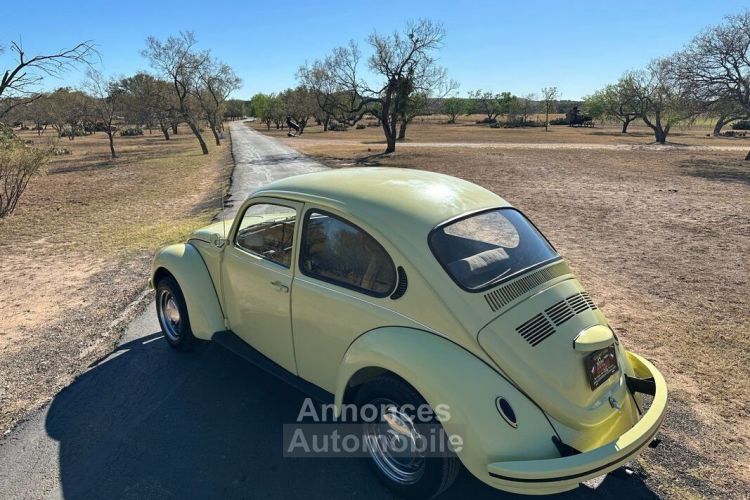 Volkswagen Beetle - Classic  - <small></small> 20.000 € <small>TTC</small> - #7