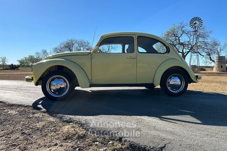 Volkswagen Beetle - Classic  - <small></small> 20.000 € <small>TTC</small> - #8