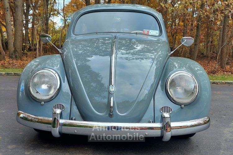 Volkswagen Beetle - Classic  - <small></small> 42.000 € <small>TTC</small> - #2