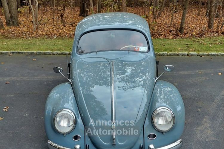 Volkswagen Beetle - Classic  - <small></small> 42.000 € <small>TTC</small> - #3