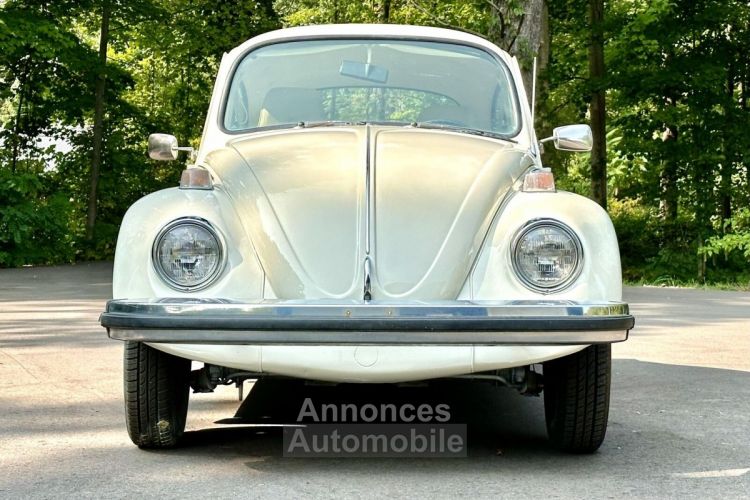 Volkswagen Beetle - Classic  - <small></small> 25.000 € <small>TTC</small> - #7