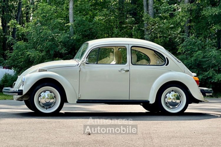 Volkswagen Beetle - Classic  - <small></small> 25.000 € <small>TTC</small> - #8