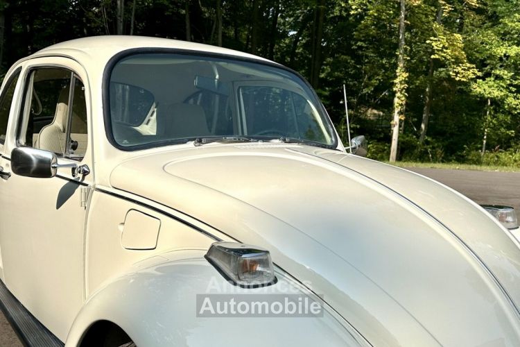 Volkswagen Beetle - Classic  - <small></small> 25.000 € <small>TTC</small> - #14