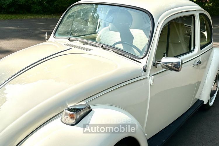 Volkswagen Beetle - Classic  - <small></small> 25.000 € <small>TTC</small> - #19