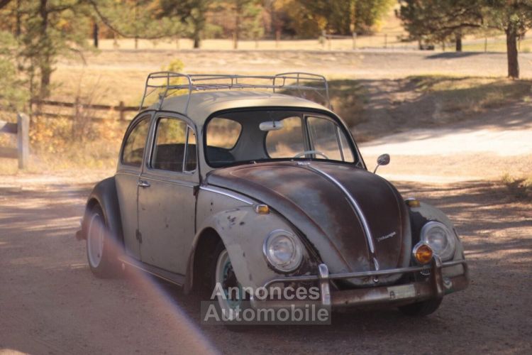 Volkswagen Beetle - Classic  - <small></small> 17.000 € <small>TTC</small> - #3