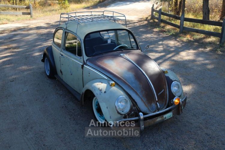 Volkswagen Beetle - Classic  - <small></small> 17.000 € <small>TTC</small> - #14