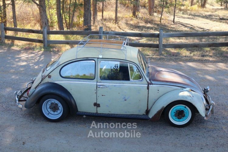 Volkswagen Beetle - Classic  - <small></small> 17.000 € <small>TTC</small> - #15