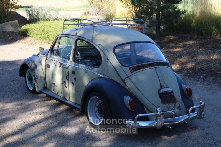 Volkswagen Beetle - Classic  - <small></small> 17.000 € <small>TTC</small> - #18