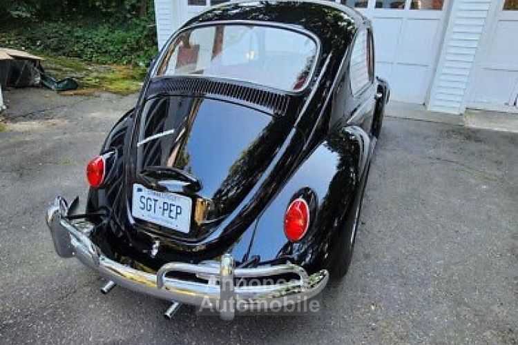 Volkswagen Beetle - Classic  - <small></small> 38.000 € <small>TTC</small> - #3