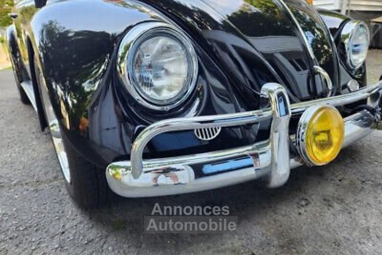 Volkswagen Beetle - Classic  - <small></small> 38.000 € <small>TTC</small> - #6