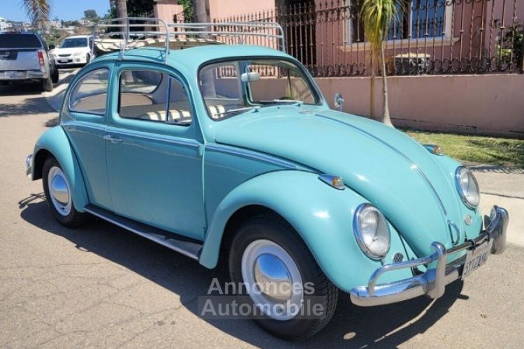 Volkswagen Beetle - Classic  - <small></small> 24.000 € <small>TTC</small> - #2