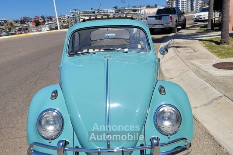 Volkswagen Beetle - Classic  - <small></small> 24.000 € <small>TTC</small> - #3