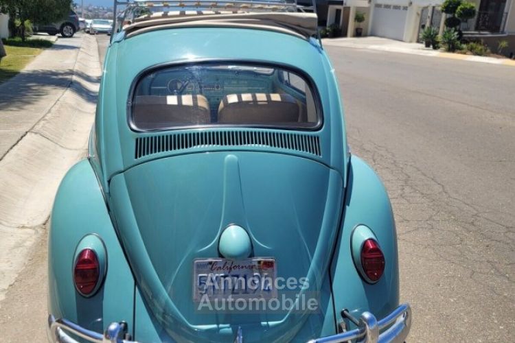 Volkswagen Beetle - Classic  - <small></small> 24.000 € <small>TTC</small> - #4