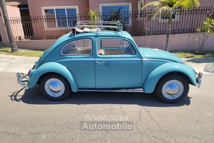 Volkswagen Beetle - Classic  - <small></small> 24.000 € <small>TTC</small> - #5