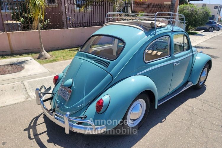 Volkswagen Beetle - Classic  - <small></small> 24.000 € <small>TTC</small> - #6