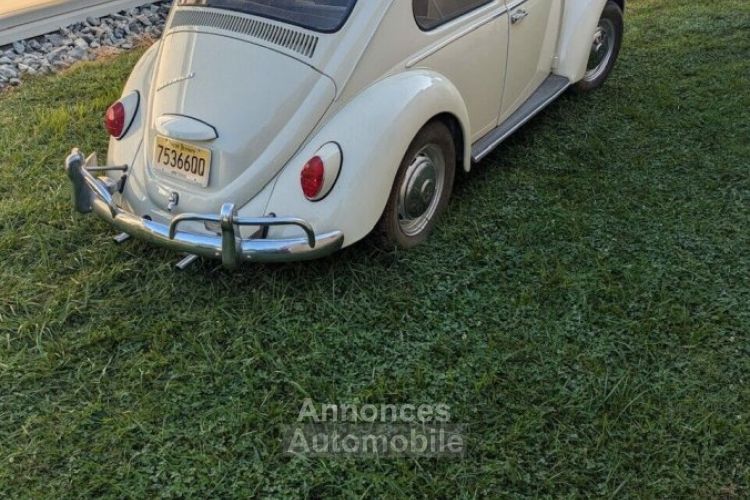 Volkswagen Beetle - Classic  - <small></small> 26.000 € <small>TTC</small> - #2