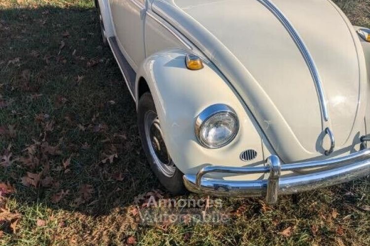 Volkswagen Beetle - Classic  - <small></small> 26.000 € <small>TTC</small> - #3