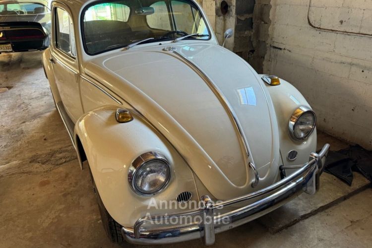 Volkswagen Beetle - Classic  - <small></small> 26.000 € <small>TTC</small> - #5