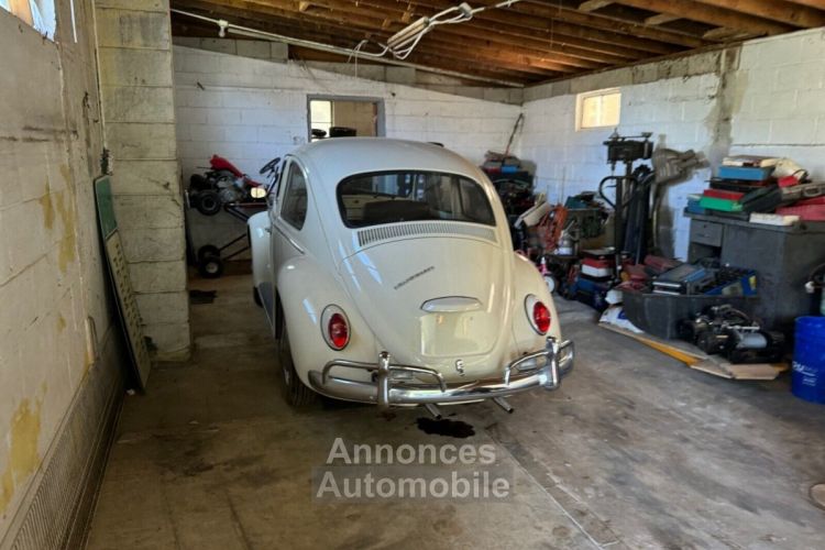 Volkswagen Beetle - Classic  - <small></small> 26.000 € <small>TTC</small> - #6