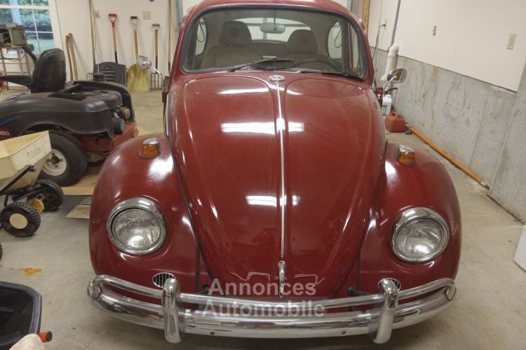 Volkswagen Beetle - Classic  - <small></small> 23.000 € <small>TTC</small> - #16