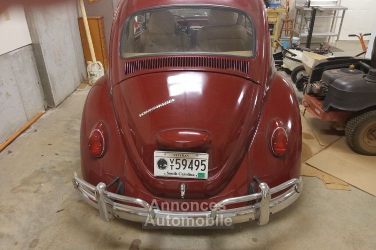 Volkswagen Beetle - Classic  - <small></small> 23.000 € <small>TTC</small> - #19